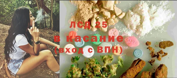 PSILOCYBIN Алзамай